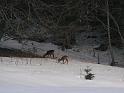 Photo_2010_03_ 123